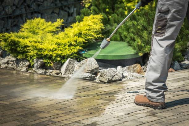 Best Restaurant Pressure Washing  in Wells, MN