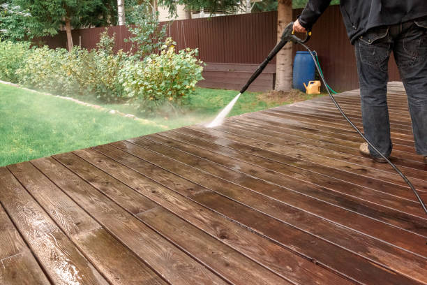 Best House Exterior Washing  in Wells, MN
